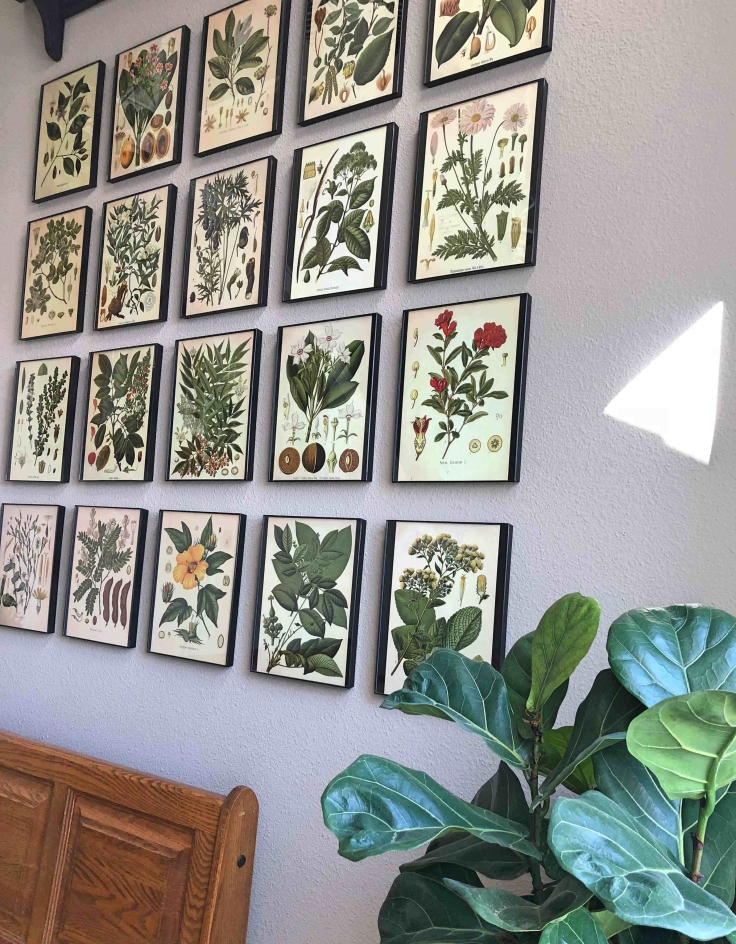10 Botanical Print Gallery