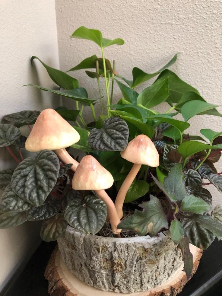 13 Light Brown Mushroom Houseplant Ornaments
